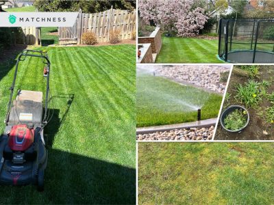 Guides for lawn maintenance you should follow2