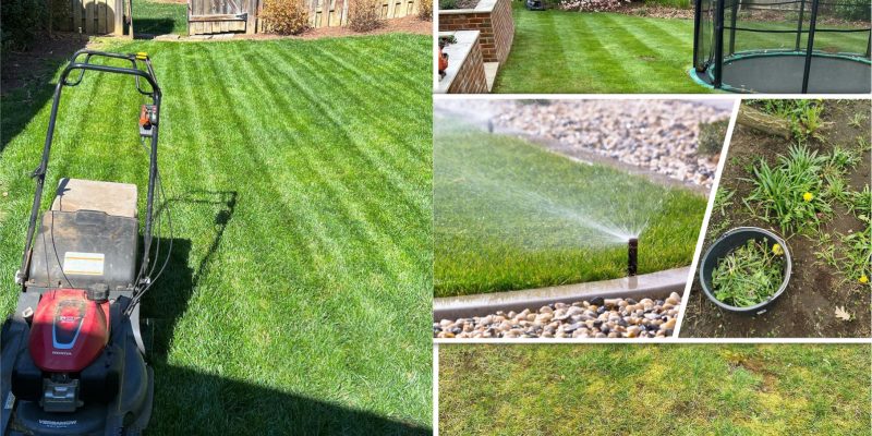 Guides for lawn maintenance you should follow2