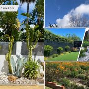 Low-maintenance landscaping ideas to add beauty to your house2