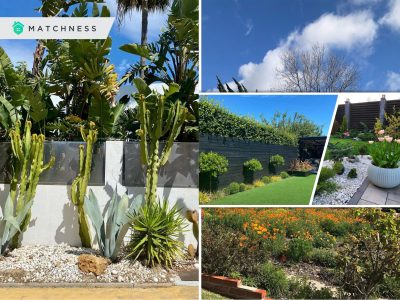 Low-maintenance landscaping ideas to add beauty to your house2