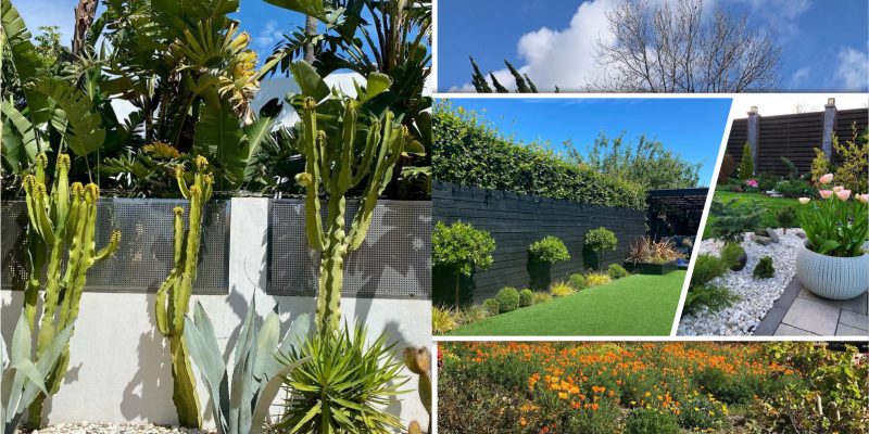 Low-maintenance landscaping ideas to add beauty to your house2