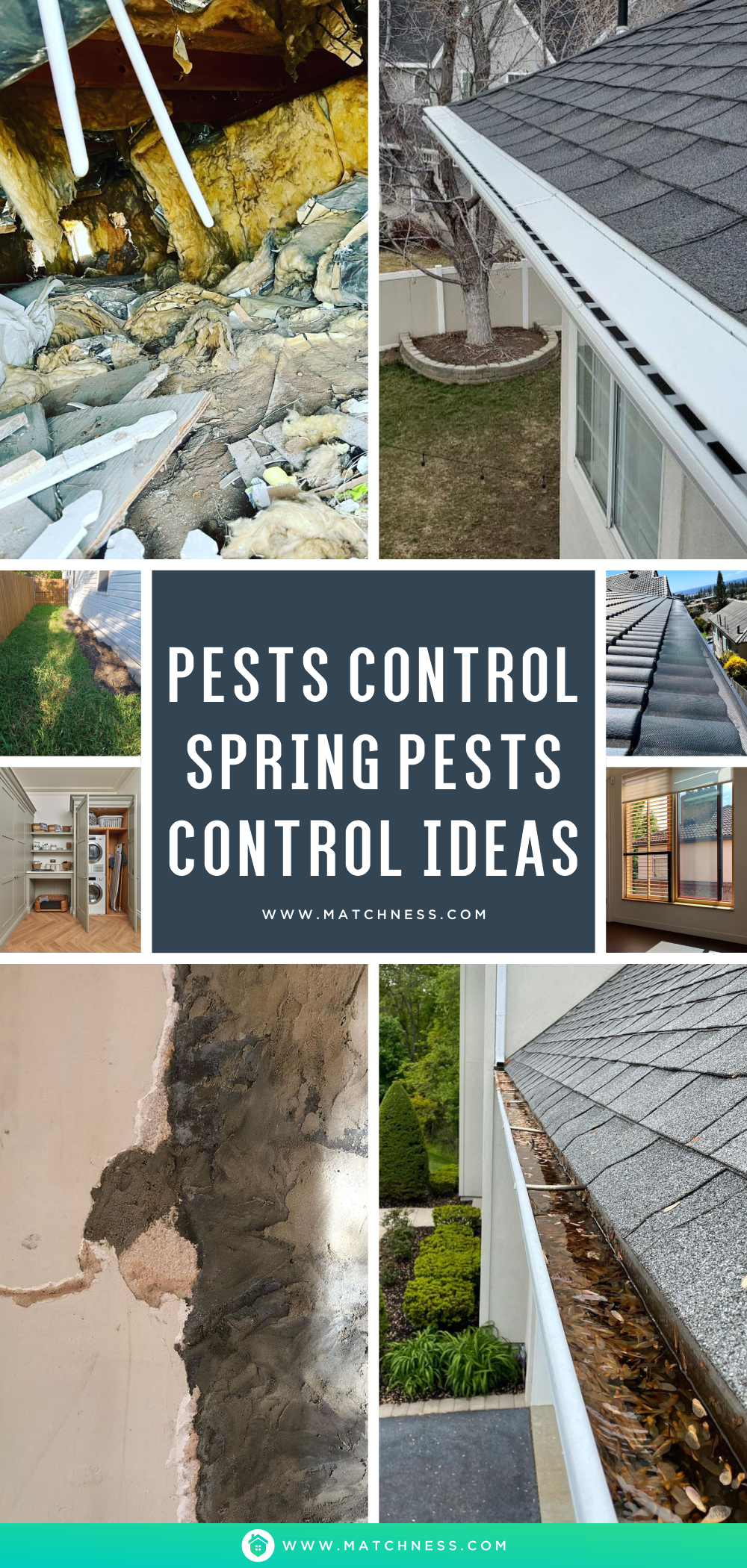 Pests control spring pests control ideas1