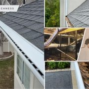 Pests control spring pests control ideas2