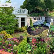 Spring gardening checklist ideas for a pretty landscape2