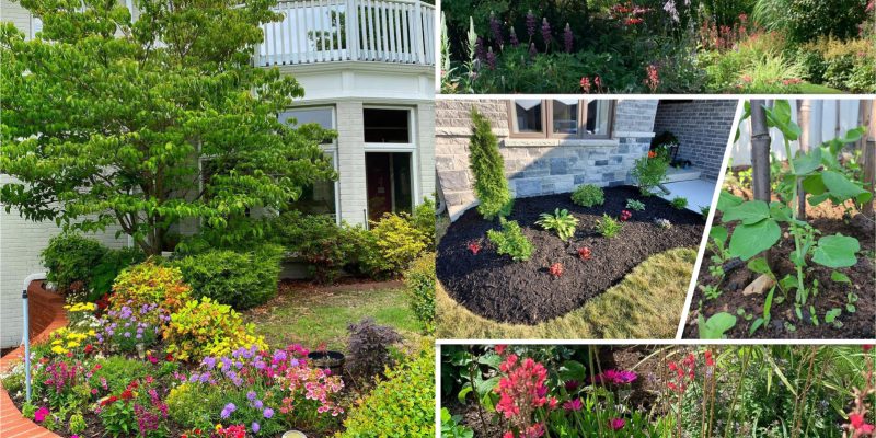Spring gardening checklist ideas for a pretty landscape2