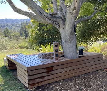 Tress as a feature of playing space Backyard Playground Ideas To Create A Fun Outdoor Area
