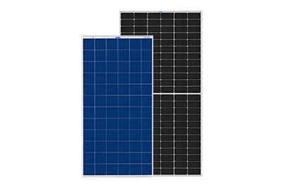 Image1