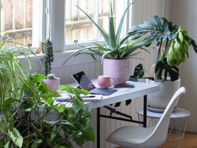 Desk table and chair interior with laptoo computer and potted plants