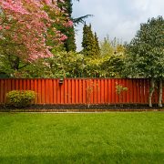 Perfect little yard.