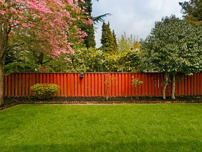 Perfect little yard.