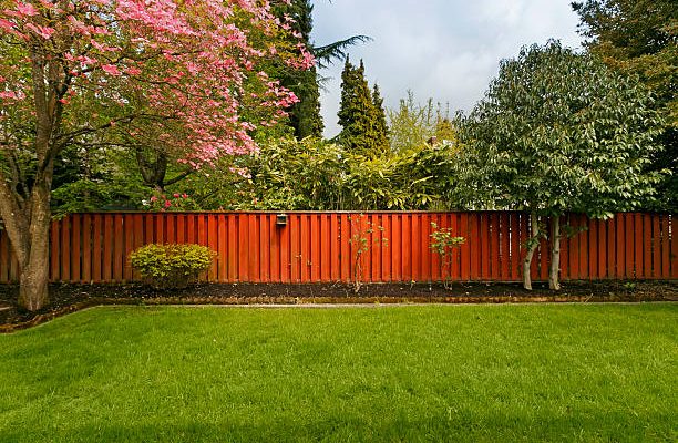 Perfect little yard.