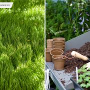 Easy to follow ways to make grass look greener than ever