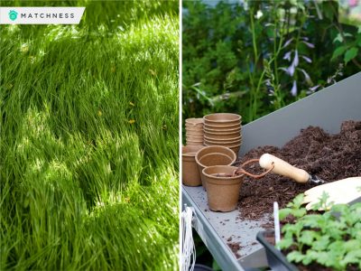 Easy to follow ways to make grass look greener than ever
