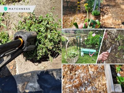 Garden maintenance how to keep your garden clean2