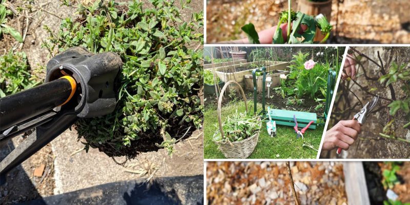 Garden maintenance how to keep your garden clean2