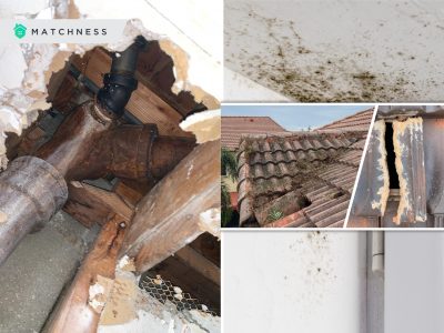 How the mold can affect your house2