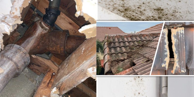 How the mold can affect your house2
