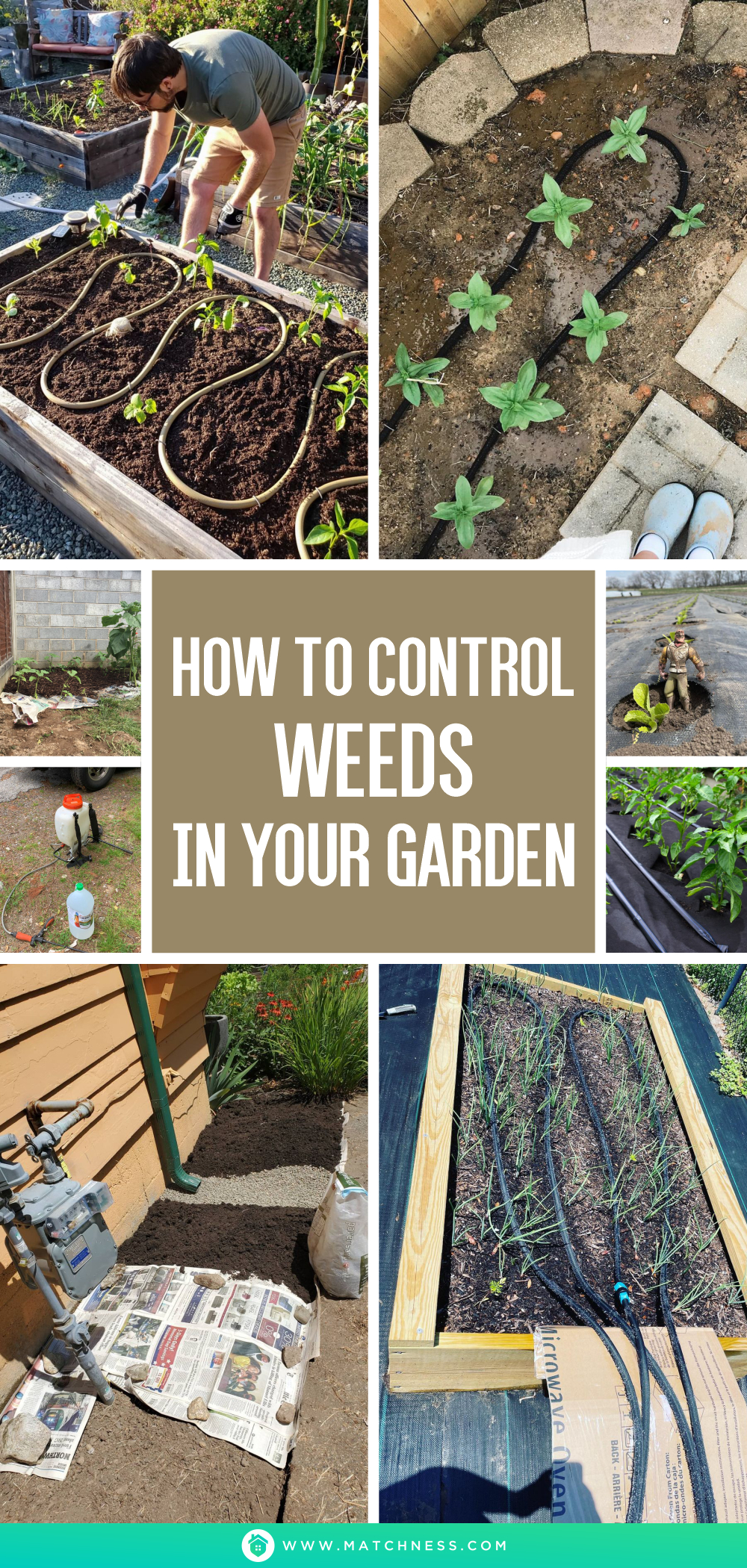 How to control weeds in your garden1