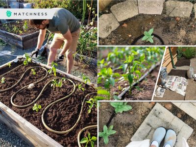 How to control weeds in your garden2