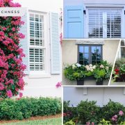 How to upgrade the exterior of your windows2