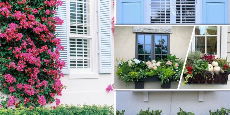 How to upgrade the exterior of your windows2