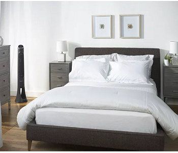 Home Essentials To Have For A Cooler Home This Summer
