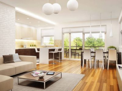 Modern large kitchen with apartment living room