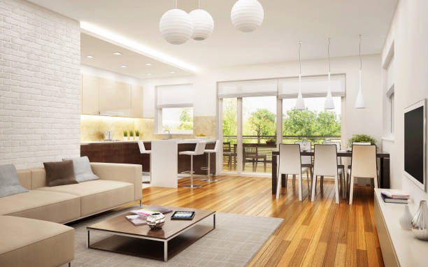 Modern large kitchen with apartment living room