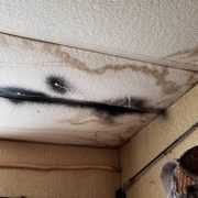 Mold and water damage on the ceiling tile of a home.