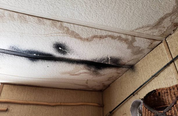 Mold and water damage on the ceiling tile of a home.