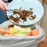 Istockphoto-869547794-612x612
