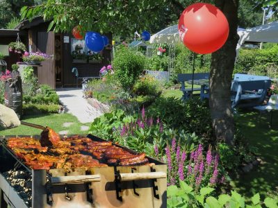 Party-2545168_960_720
