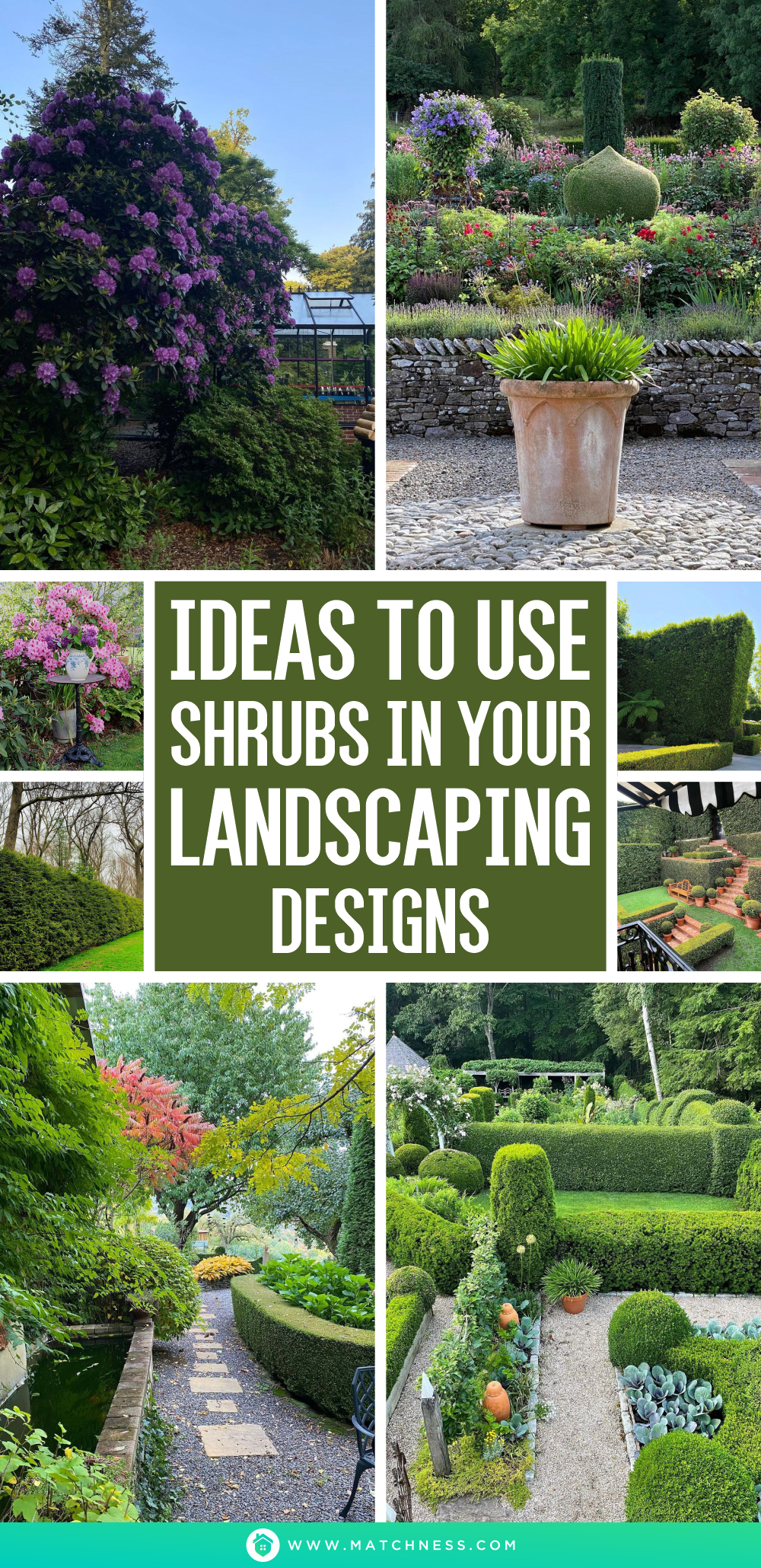 Ideas to use shrubs in your landscaping designs1