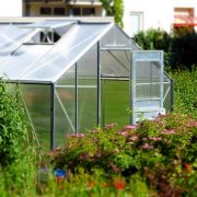 Greenhouse-827464_640