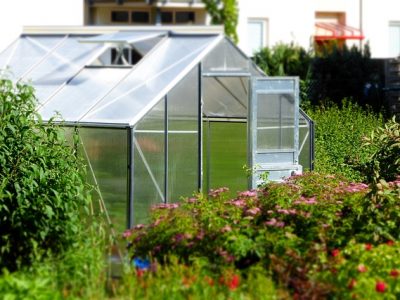 Greenhouse-827464_640