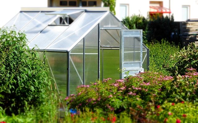 Greenhouse-827464_640