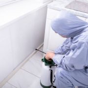 Male exterminator wearing safety cloths spraying pesticide in kitchen