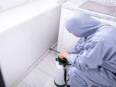 Male exterminator wearing safety cloths spraying pesticide in kitchen