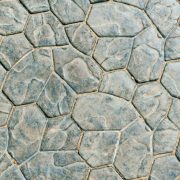Istockphoto-1366050809-612x612