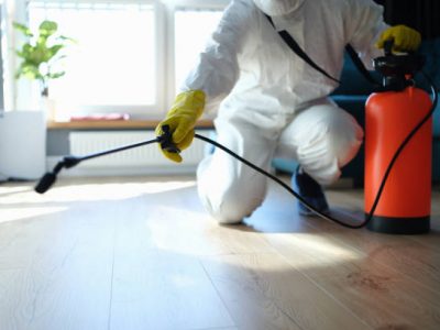 Istockphoto-1414982124-612x612