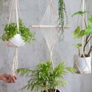 Istockphoto-1296819013-612x612