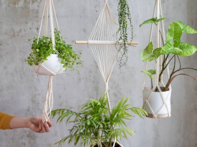 Istockphoto-1296819013-612x612