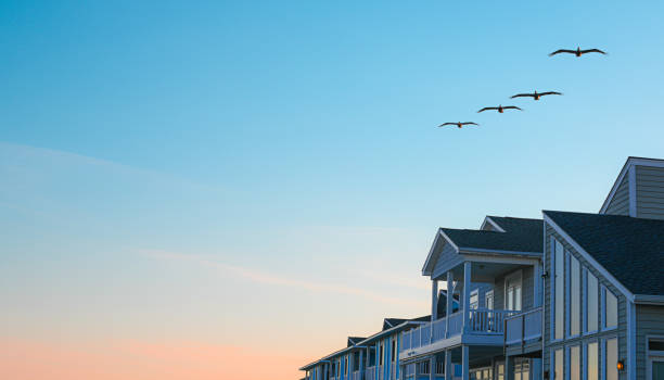 A small flock of pelicans fly over beach houses at dusk.