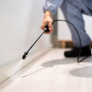 Pest control exterminator man spraying termite pesticide in office