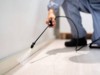 Pest control exterminator man spraying termite pesticide in office