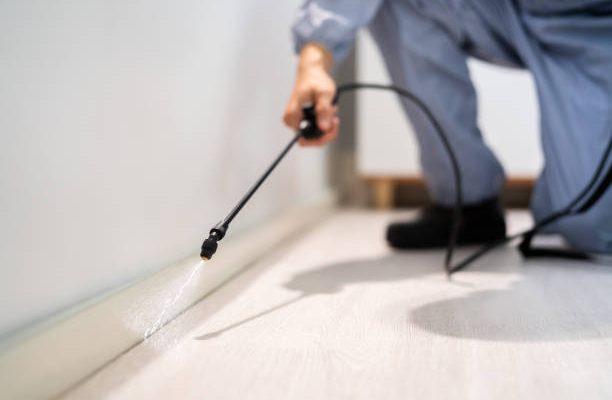 Pest control exterminator man spraying termite pesticide in office