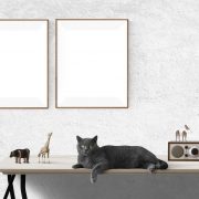 Poster-mockup-2853865_1280