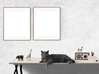 Poster-mockup-2853865_1280