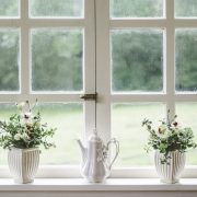 White-2563976_1280
