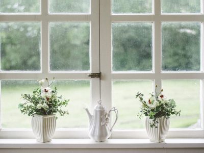 White-2563976_1280